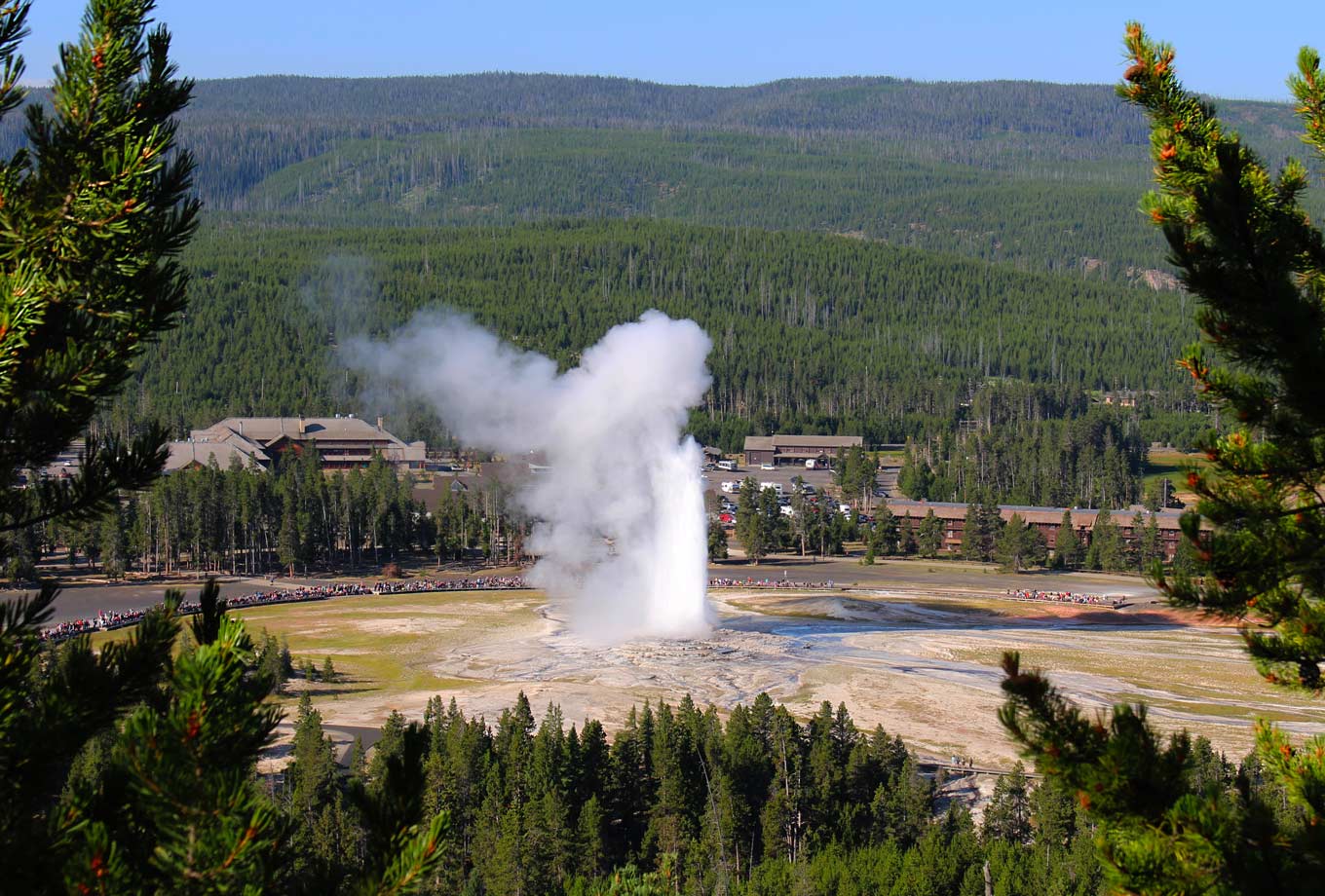 Old Faithful Geyser in Yellowstone National Park